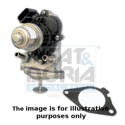 EGR Valve